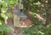 Lækkert feriehus til 6 personer – hunden er også velkommen (billede 42)