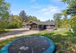 Grosses Luxushaus in Ho – mit Whirlpool, Sauna und Spielplatz