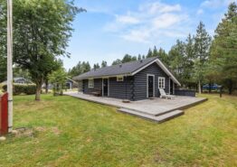 Hyggeligt sommerhus til 4 personer i Ho. Kat. nr.:  61068, Hedevej 32;