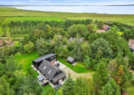 Tolles Ferienhaus mit Aktivitätsraum und Außen Whirlpool in Ho. Kat. nr.:  61082, Sønderballevej 51;