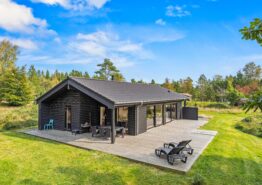 „Hyggeliges“ Holzhaus für 6 Personen mit Kamin in Ho. Kat. nr.:  61088, Fyrrevænget 49;