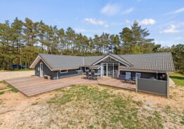 Idyllisches Ferienhaus für 6 Personen mit Pool, Sauna und Whirlpool. Kat. nr.:  61093, Vestervænget 11;