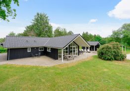 Lækkert sommerhus med spa, aktivitetsrum og volleybane