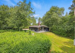 Dejligt sommerhus med brændeovn til 5 personer i Ho