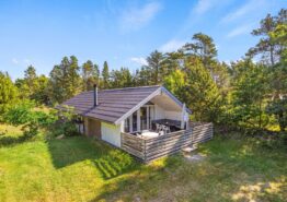 Gemütliches Ferienhaus auf Naturgrund in Ho. Kat. nr.:  61139, Vestervænget 1;