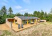 Luxuriöses Ferienhaus mit Aktivitätsraum, Außenwhirlpool und Außensauna in Ho (Bild  1)