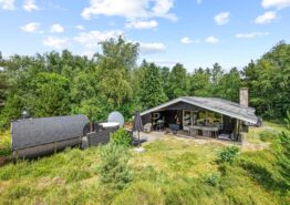 Sommerhus med udendørs vildmarksbad og sauna – 1 hund tilladt. Kat. nr.:  61153, Tværvænget 10;
