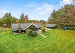 Nettes Ferienhaus in Ho mit Kaminofen und Außenbadetonne. Kat. nr.:  61188, Fyrrevænget 39;