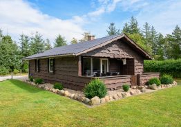 Uriges Blockhaus in Ho bei Blåvand für 4 Personen und 2 Hunde