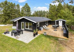 Hyggeligt sommerhus med sauna til 6 personer i Ho. Kat. nr.:  61377, Hedevej 81;