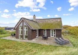 Schönes Reetdachhaus mit Sauna hinter den Dünen