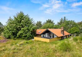 Gemütliches Haus mit Kaminofen – 800 m zum Strand