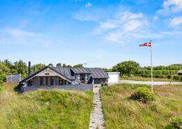 Klassisk sommerhus med brændeovn til 6 personer og hund