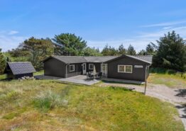 Charmende feriehus til 6 personer og hund på Fanø