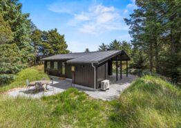 Indbydende sommerhus til 4 personer på Fanø