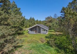 Hyggelig ferie for hele familien og hund på Fanø