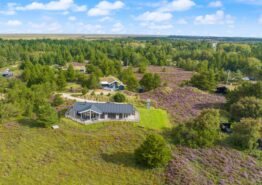Komfortables Ferienhaus mit großer Terrasse in schöner Natur