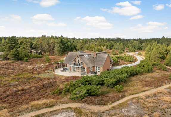 Modernes Reetdachhaus mit Sauna, Whirlpool und Blick aufs Wattenmeer