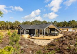 Moderne sommerhus med sauna, spa og vildmarksbad til 6 personer