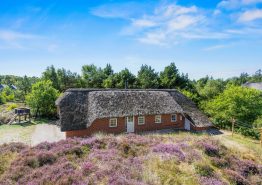 Charmantes Reetdachhaus mit toller Lage und Whirlpool und Sauna