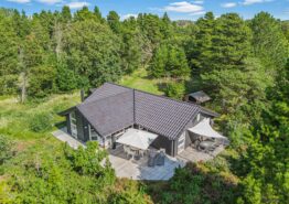 Strandnahes Ferienhaus mit Sauna und Whirlpool für 7 Personen