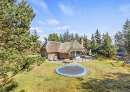 Reetdachhaus für 8 Personen mit Sauna und Whirlpool