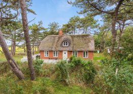 Sommerhus i Langdal på Rømø – Dit drømmested ved havet. Kat. nr.:  87144, Rimmevej 1