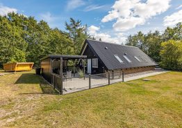 Ferienhaus mit geschlossener Terrasse für 8 Personen und Hund