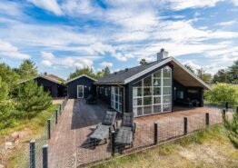 Erstklassiges Ferienhaus in Nymindegab mit Außendusche – 2 Hunde