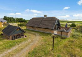 Gemütliches Ferienhaus mit Kamin, für 6 Personen – Hund erlaubt. Kat. nr.:  AA1107, Auroravej 10;