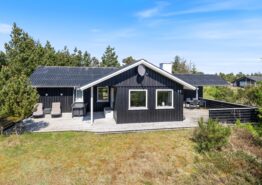 Schönes Ferienhaus an der dänischen Nordseeküste