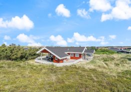 Et fredfyldt sommerhus med lukket terrasse og hund tilladt