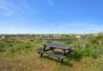 Ferienhaus in schöner Natur an der Westküste Dänemarks (Bild  31)