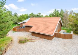 Familienfreundliches Ferienhaus mit Kamin in Bjerregård