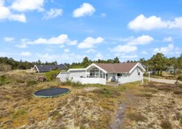 Typisch dänisches Ferienhaus mit Whirlpool – Hund willkommen