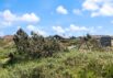 Urlaub im Ferienhaus in Bjerregård, bei Hvide Sande (Bild  26)