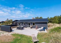 Gemütliches Ferienhaus mit tollem Außenbereich in Bjerregård