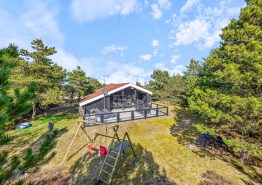 Gemütliches Ferienhaus mit Kamin für 6 Personen in Bjerregård