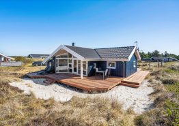 Ferienhaus in den Dünen mit Sauna und Geschirrspüler