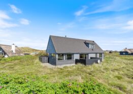 Luksushus med energibesparende varmepumpe, hund tilladt