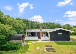 Dejligt sommerhus til 6 personer i skønne Bjerregård