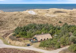 Bjerregard. Kat. nr.:  , ;