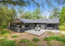 Qualitätsferienhaus mit Kaminofen, Sauna und Whirlpool