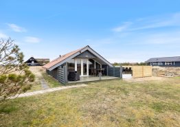 Familieferie ved Vesterhavet, med sauna og brændeovn, hund tilladt