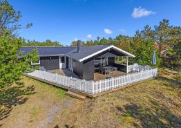 Schönes, gepflegtes Ferienhaus in Bjerregård
