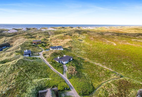 Ferienhaus mit Panoramaaussicht in Bjerregård, Hund erlaubt