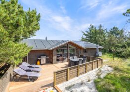 Lækkert sommerhus til familier med børn og hund