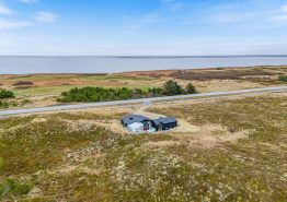 Haurvig. Kat. nr.:  , ;