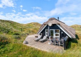 Feriehus med stor terrasse på en uforstyrret klitgrund