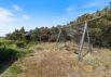 Stråtækt sommerhus med brændeovn tæt på Ringkøbing Fjord (billede 42)
